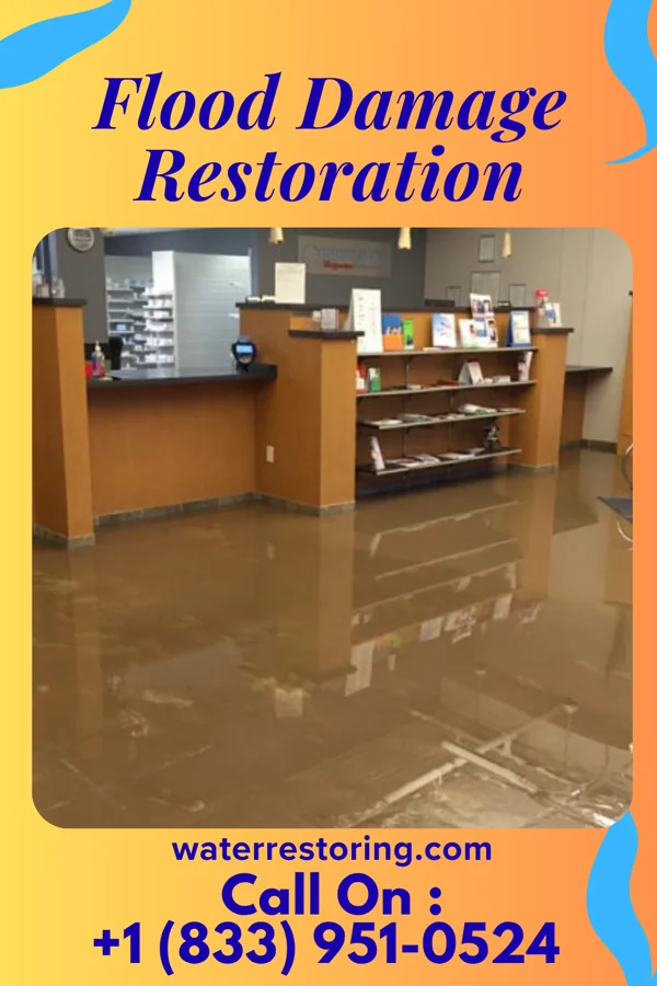 Flood Damage Restoration in Minnesota City, MN