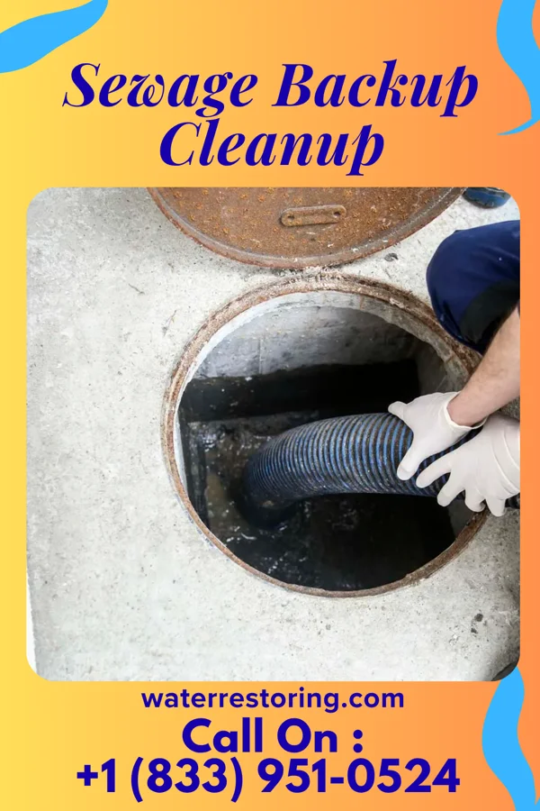 Sewage Backup Cleanup in Minnesota City, MN